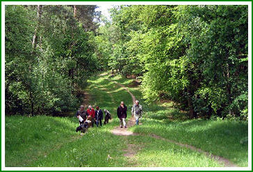 Rodelbahn (im Sommer)